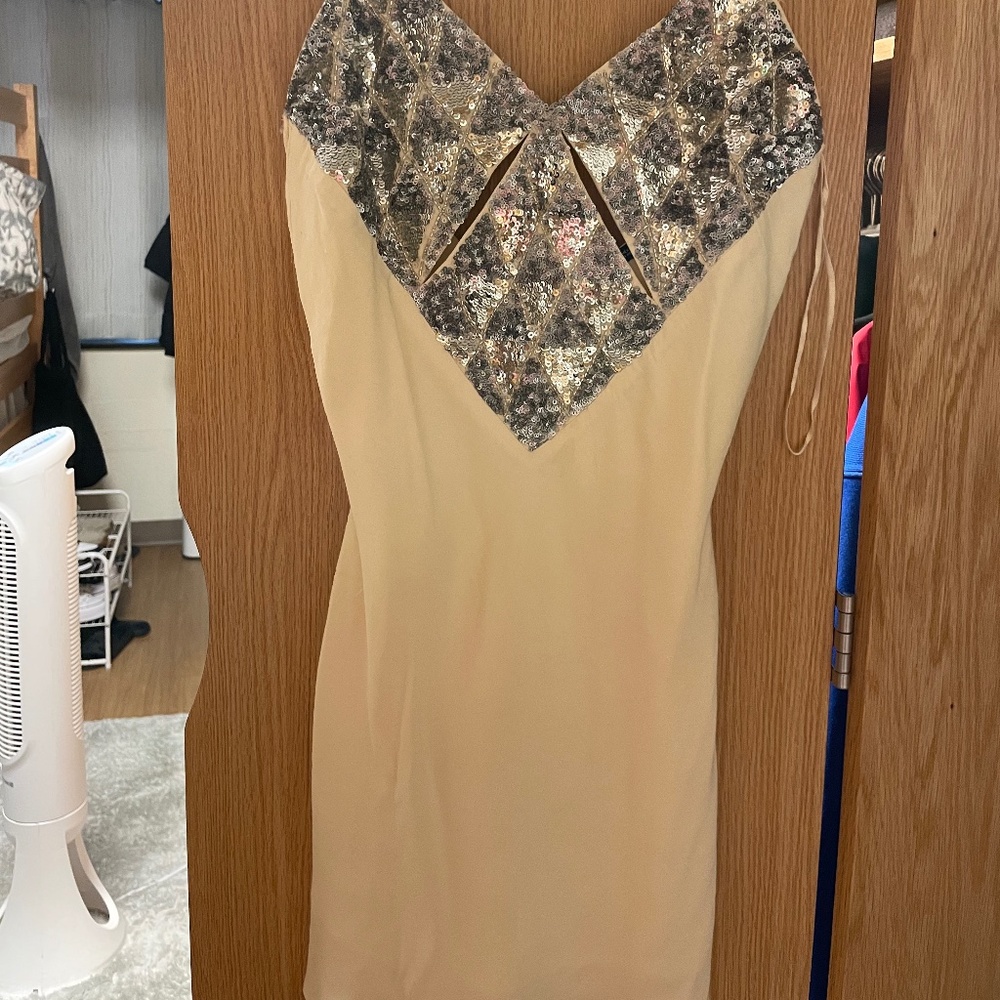 Zara sequin dress